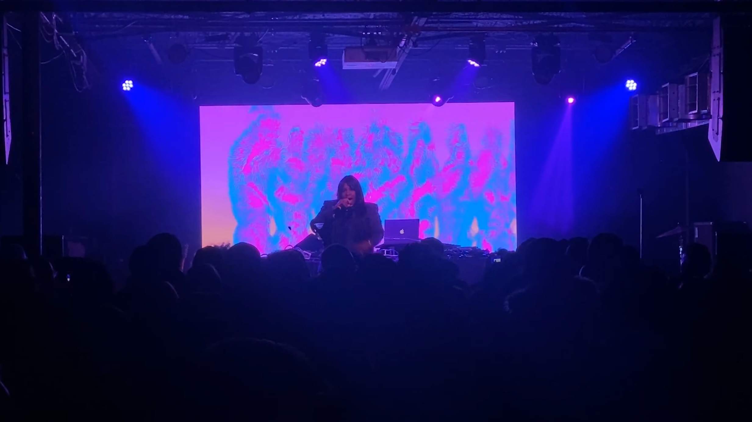 Zoratopia live visuals