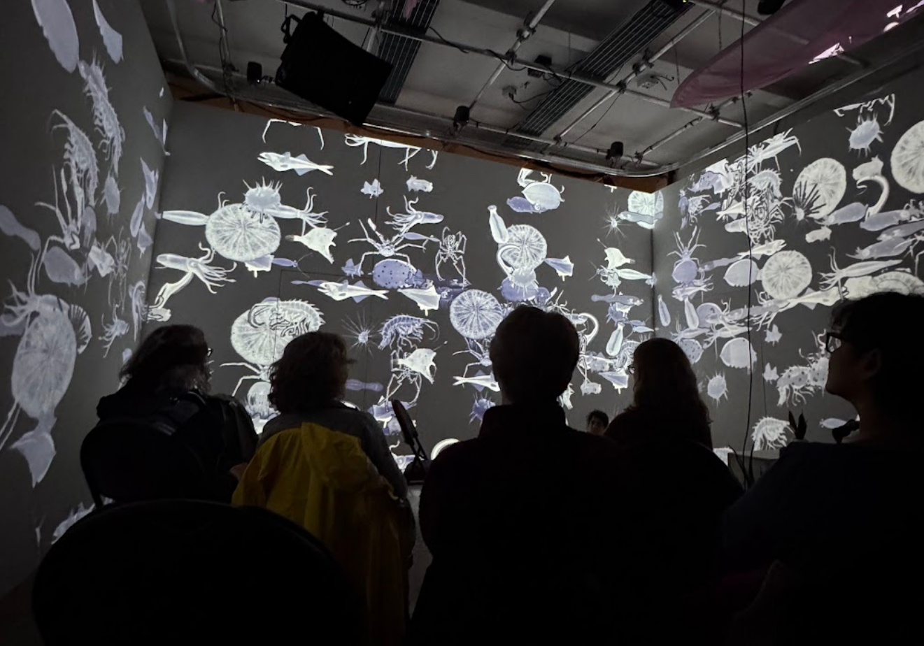 Undersky installation still
